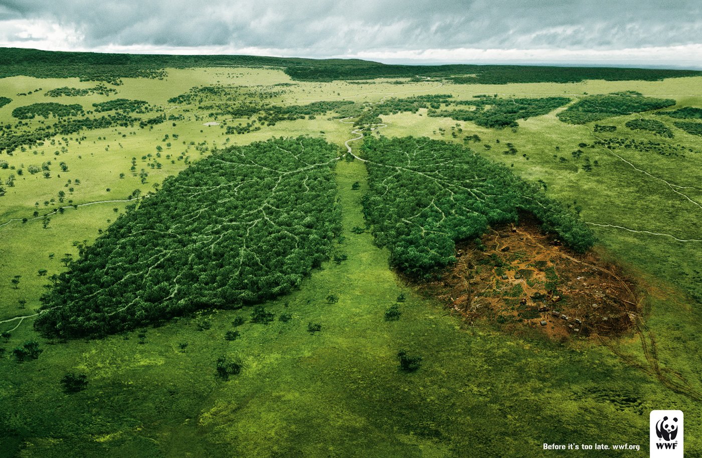 wwf pubblicità polmoni