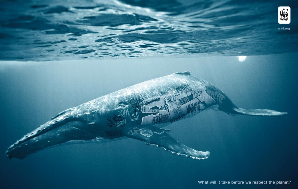 wwf pubblicità balena