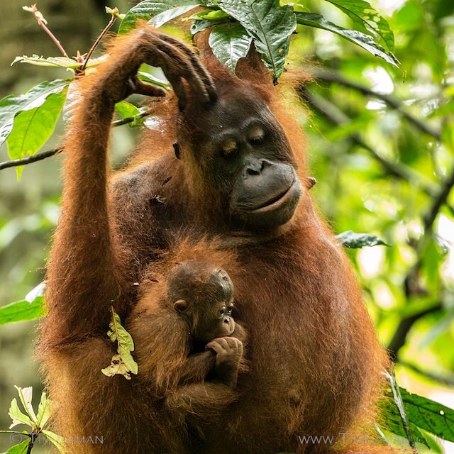 national-geographic-instagram