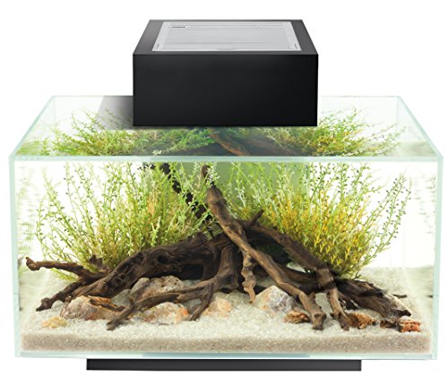 acquario fluval 